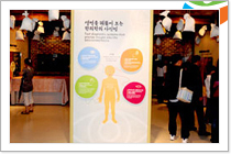 Oriental medicine Expo park exhibit hall